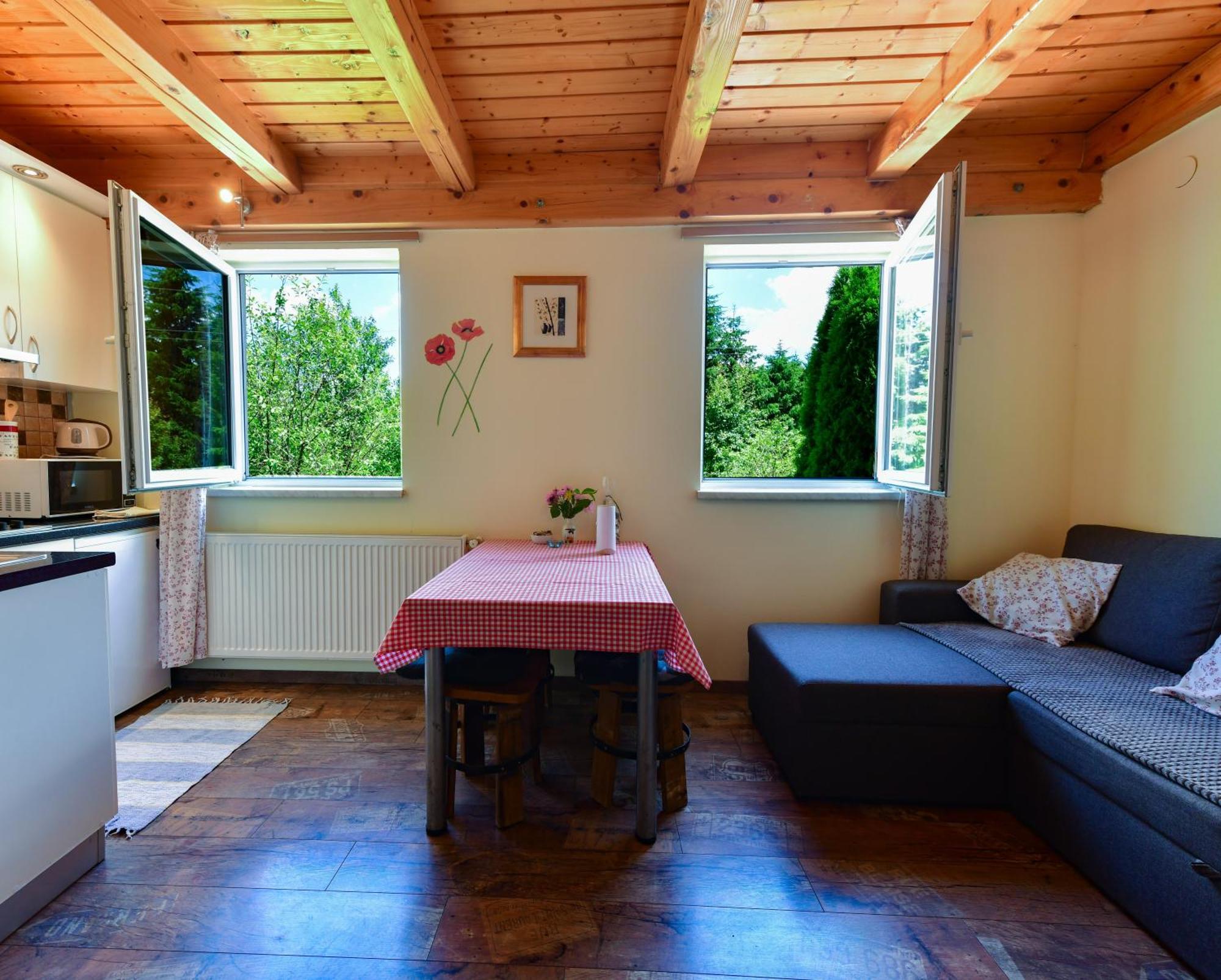 Apartments Marija ラコヴィツァ エクステリア 写真